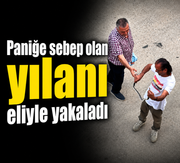 Paniğe sebep olan yılanı eliyle yakaladı