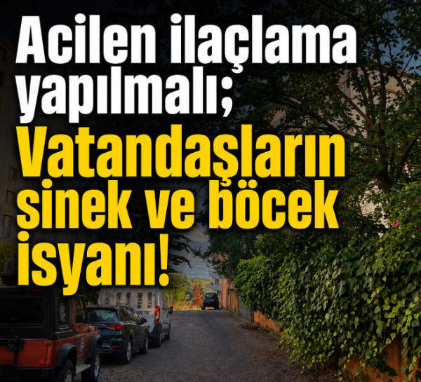 Acilen ilaçlama yapılmalı; Vatandaşların sinek ve böcek isyanı!