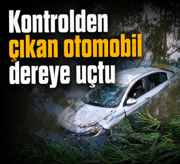 Kontrolden çıkan otomobil dereye uçtu