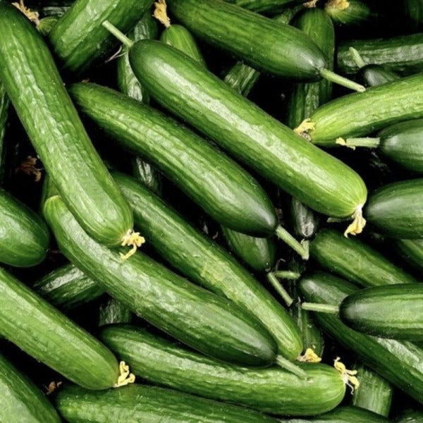 Doktorlar salatalık tüketmenin neden olduğunu açıkladı - Resim: 4