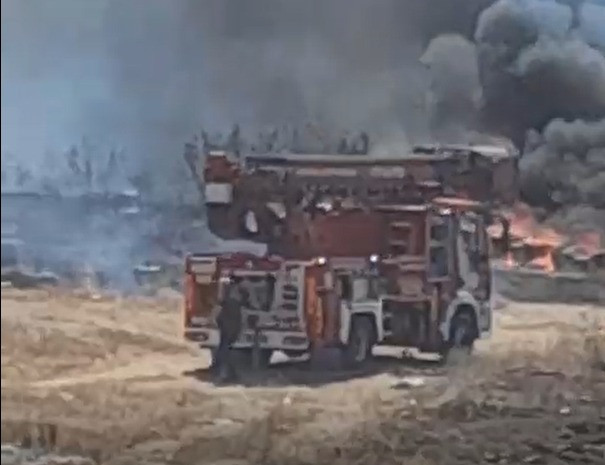 Onlarca arı kovanı birdenbire yandı! - Resim : 1