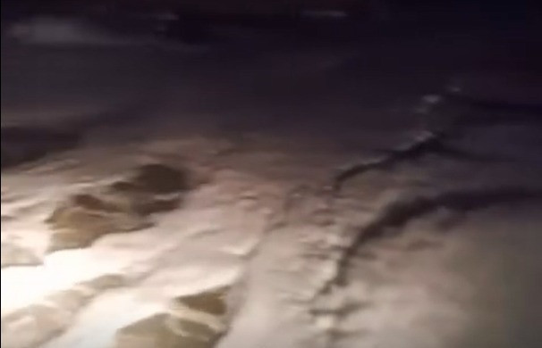 Kocaeli’de yine çevre felaketi; Dereye zehir boşalttılar! - Resim : 1