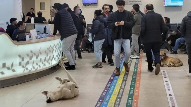 Şikayetler artınca önlem alındı; 81 ile yazı gitti - Resim: 7