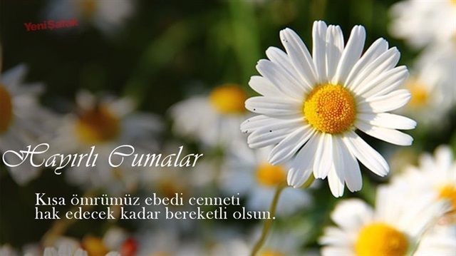 En Yeni Resimli Cuma Mesajları 18 Nisan | Ayetli, Dualı, Hadisli Günaydın Cuma Mesajları - Resim: 6