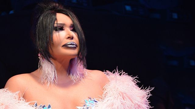 Müziğin Diva'sı Bülent Ersoy'un Mal Varlığını Duyanlar Kulaklarına İnanamadı! Nerede Ararsan Var.. - Resim: 1