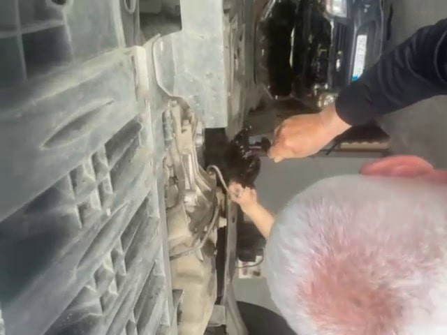 Otomobilin motoruna giren kediyi tamirci kurtardı - Resim : 2