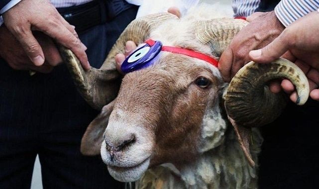 5 Haziran Arife Günü Kutlama Mesajları 2025 | En Güzel Resimli Kurban Bayramı Arefe Günü Tebriği - Resim: 3