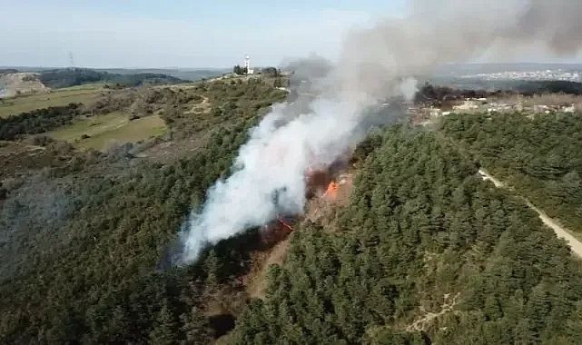 İstanbul'da orman yangını - Resim: 4