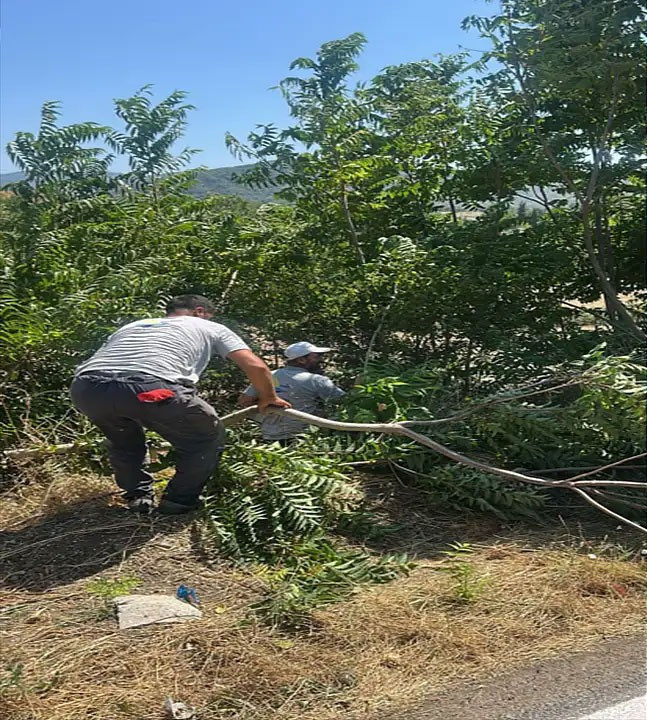 Kocaeli için büyük tehlike; Eskiyen elektrik telleri yangın çıkartıyor! - Resim : 1