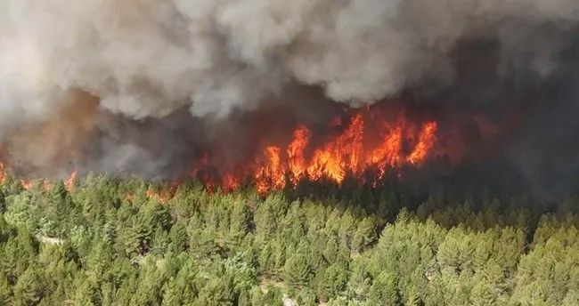 içişleri Bakanı Ali Yerlikaya duyurdu! 25 kişi tutuklandı! - Resim: 1