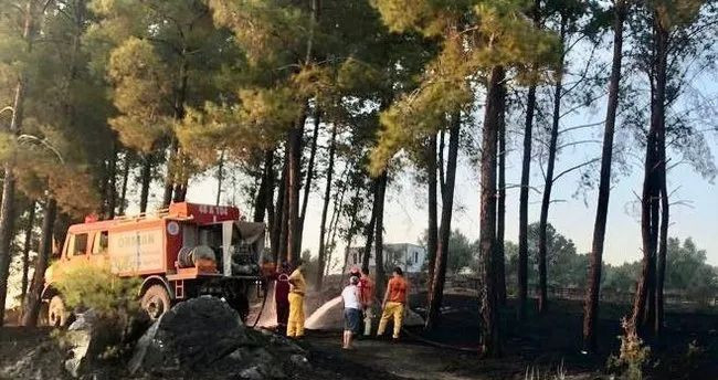 Ormanı yakıp kaçtılar! - Resim: 1