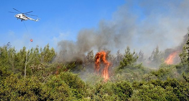 İstanbul'da orman yangını - Resim: 6