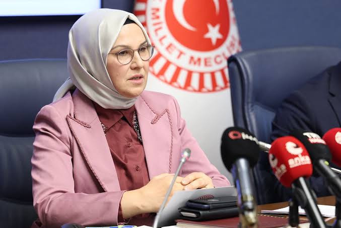 İzmit Belediyesi yıkacak Katırcıoğlu'nun kardeşinin 'kaçak' yapısı ile ilgili karar - Resim : 1