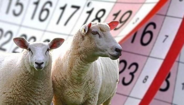 KURBAN BAYRAMI SAYACI 2025 | Kurban Bayramı 9 Gün Mü? Kurban Bayramı'na Kaç Gün Kaldı? - Resim: 5