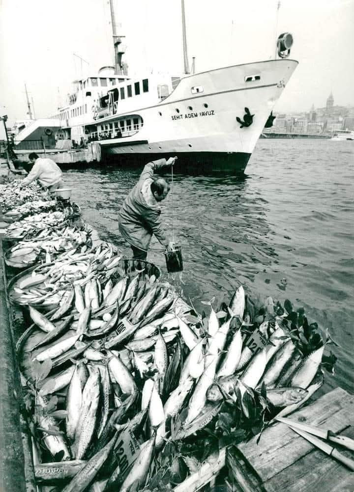 Bana Sürdürülebilir Şekilde Balık Tutmayı Öğret - Resim : 2