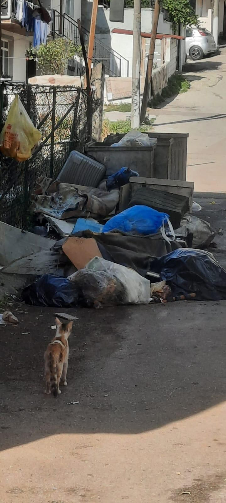 MHP'den Fatma Kaplan Hürriyet'e, "Delegeyle uğraşacağına İzmit’e hizmet et!" - Resim : 3