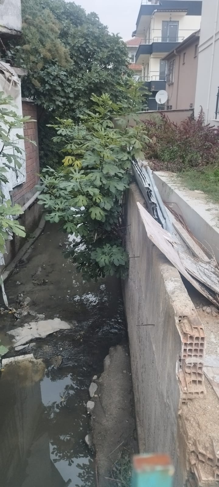 Kartepe Çevre Platformu tek tek sıraladı ve uyardı: Yaya güvenliği ertelenemez! - Resim : 7