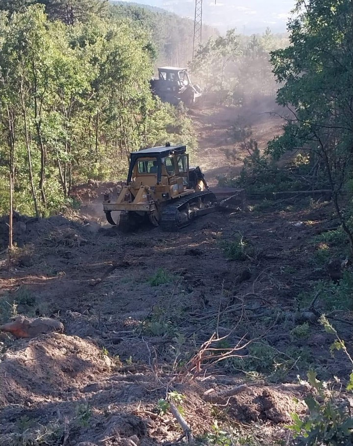 Kocaeli’de 455 bin 900 metrekare alan: TEİAŞ’tan dev ağaç kesme ihalesi - Resim : 2