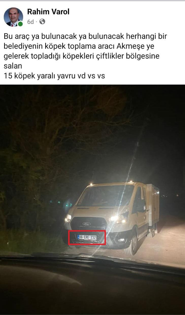 Büyükşehir topladığı sokak köpeklerini köy yoluna mı bırakıyor? - Resim : 2