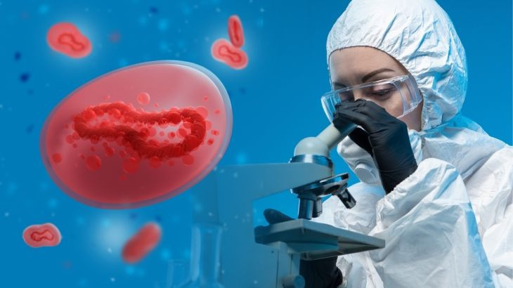 Salgın vakaları tavan yaptı, o ülke harekete geçti - Resim: 4