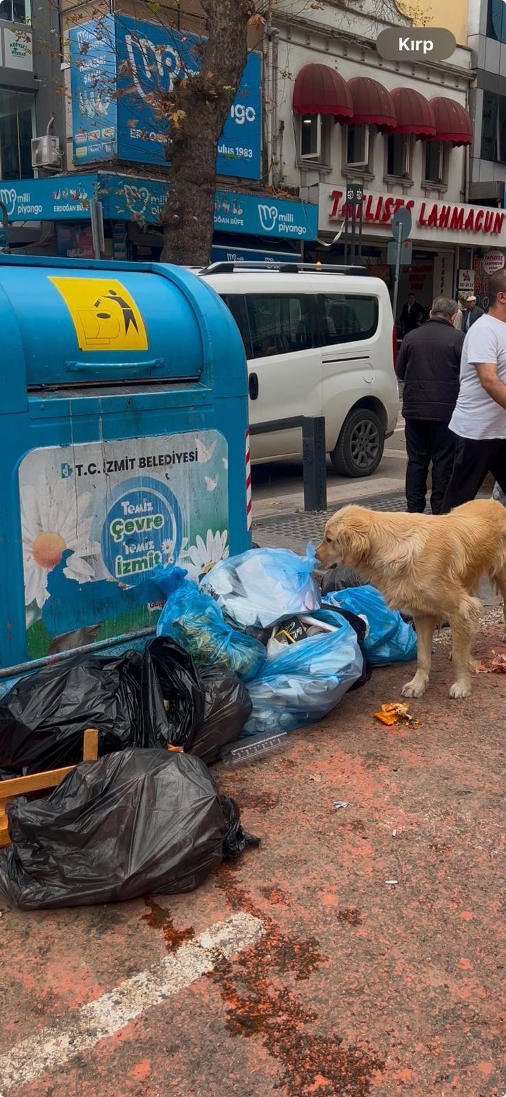 MHP’li İlker Kazan esnaflara çağrı yaptı: Çöp konusunda hassas olmalıyız - Resim : 2