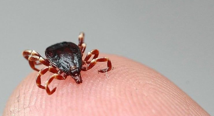 Vakalar fırladı... Binlerce kişi etkilendi! - Resim: 6