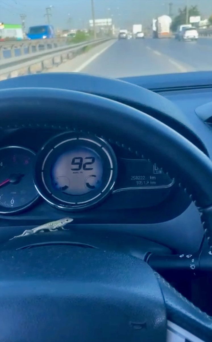 Otomobile öyle bir şey girdi ki… Kadın sürücü korkudan ne yapacağını bilemedi! - Resim : 2