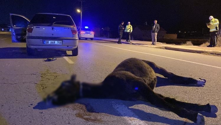 Ata çarpan otomobil hurdaya döndü! - Resim : 2