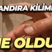 Kandıra kilimine ne oldu?