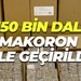 150 bin dal makaron ele geçirildi