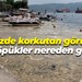 Denizde korkutan görüntü Bu köpükler nereden geldi?