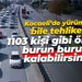 Kocaeli’de yürümek bile tehlikeli… 1103 kişi gibi ölümle burun buruna kalabilirsiniz!