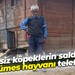 Sahipsiz köpeklerin saldırdığı 80 kümes hayvanı telef oldu