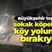 Büyükşehir topladığı sokak köpeklerini köy yoluna mı bırakıyor?