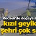 Kocaeli'de doğaya salınan kızıl geyikler şehri çok sevdi