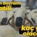 Kurban Bayramı tatili kaç gün olacak? Kültür ve Turizm Bakanı Mehmet Nuri Ersoy açıkladı!