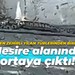 Kocaeli'de en zehirli yılan türlerinden biri görüldü: Mesire alanında ortaya çıktı!
