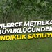 Binlerce metrekare büyüklüğündeki fındıklık satılıyor
