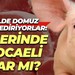 6 ilde domuz eti yediriyorlar: İçlerinde Kocaeli var mı?