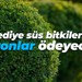 Belediye süs bitkilerine milyonlar ödeyecek!