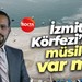 Müsilaj takibi geliştirilen platform Marmara'yı izlemeyi sürdürüyor; İzmit Körfezi’nde müsilaj var mı?