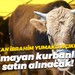 Bakan İbrahim Yumaklı açıkladı... Satılmayan kurbanlıklar satın alınacak!