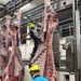 Kocaeli Büyükşehir Belediyesi uyardı: Sakatatları çöpe atmayın!