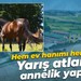 Hem ev hanımı hem seyis: Yarış atlarına annelik yapıyor