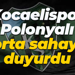 Kocaelispor Polonyalı orta saha Linetty'yi duyurdu!