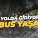 Düz yolda gidiyordu: Kabus yaşadı!