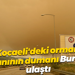 Kocaeli'deki orman yangınının dumanı Bursa'ya ulaştı