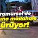 Karamürsel'de yangına müdahale sürüyor!