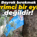 Bayrak bırakmak devrimci bir eylem değildir!