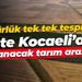 Müdürlük tek tek tespit etti; İşte Kocaeli’de kiralanacak tarım arazileri!